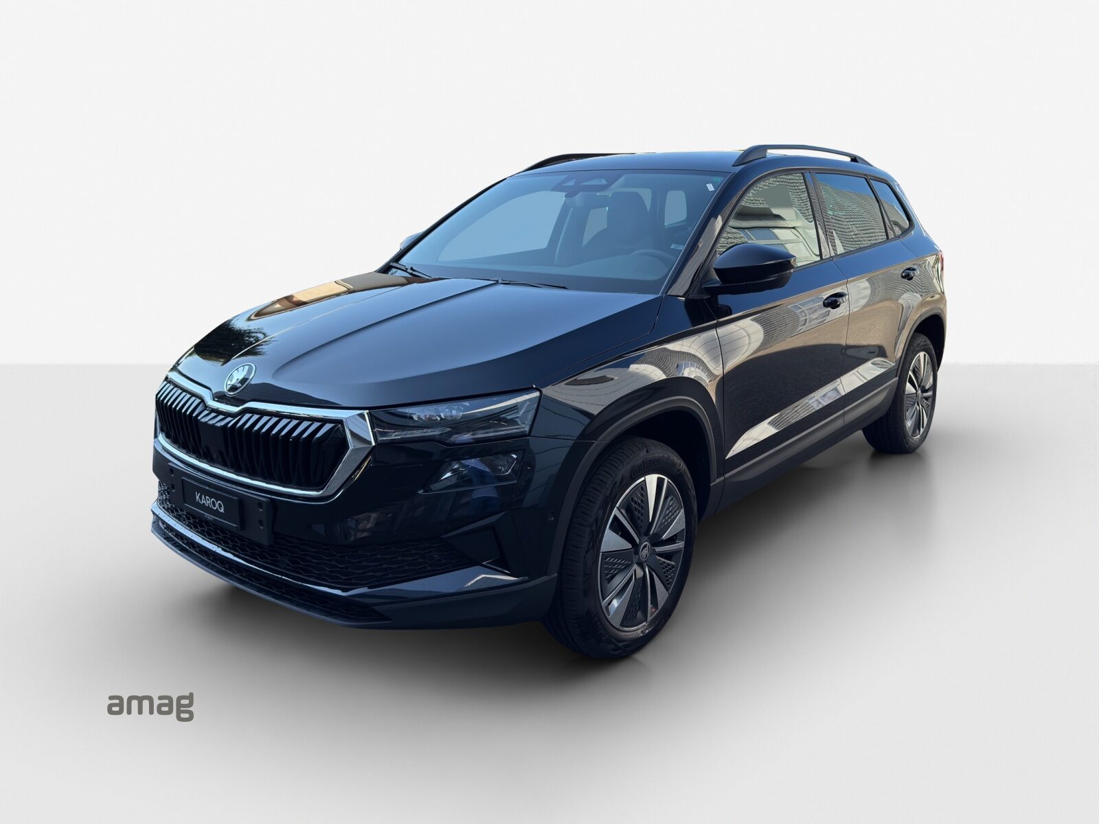 SKODA Karoq Dynamic (Netto)