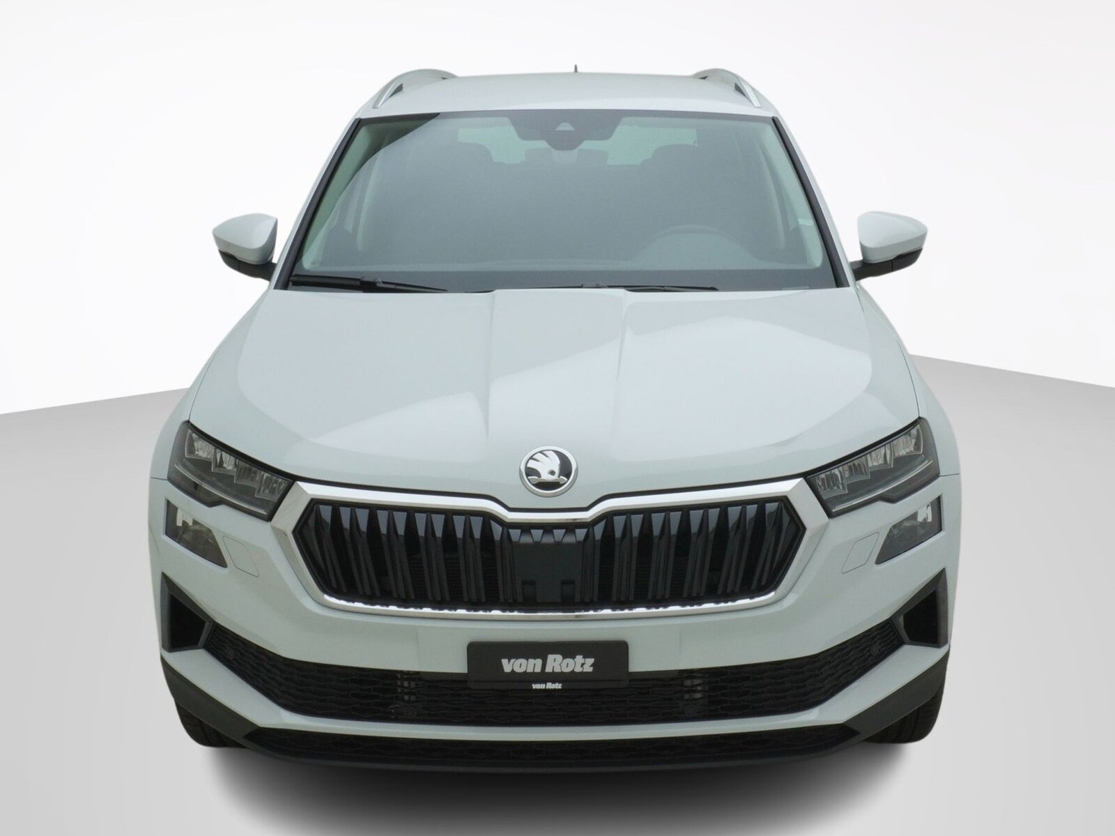 SKODA Karoq 2.0 TDI Selection-Lodge 4x4 DSG, Diesel, Auto nuove, Automatico - 6