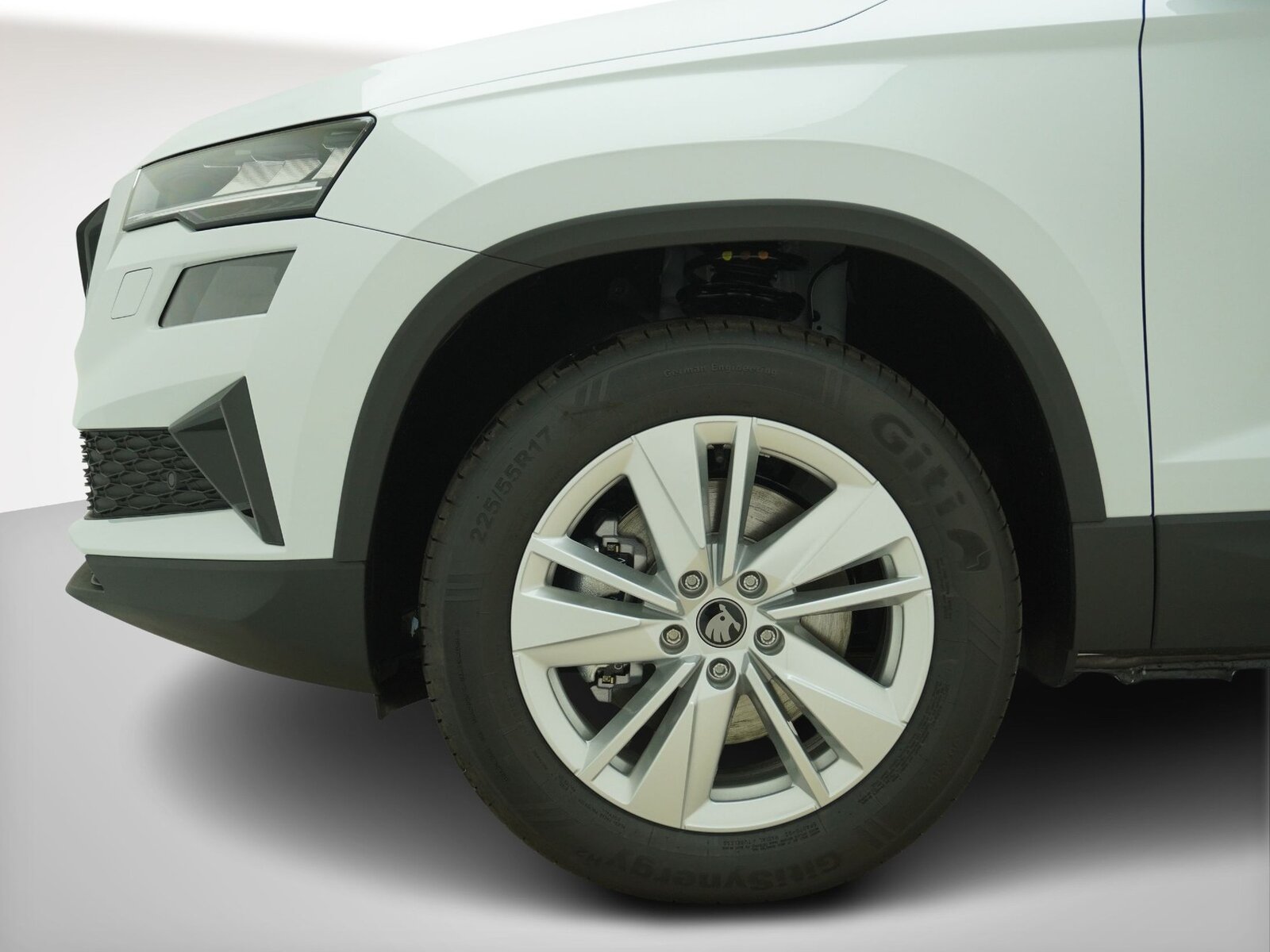 SKODA Karoq 2.0 TDI Selection-Lodge 4x4 DSG, Diesel, Auto nuove, Automatico - 7
