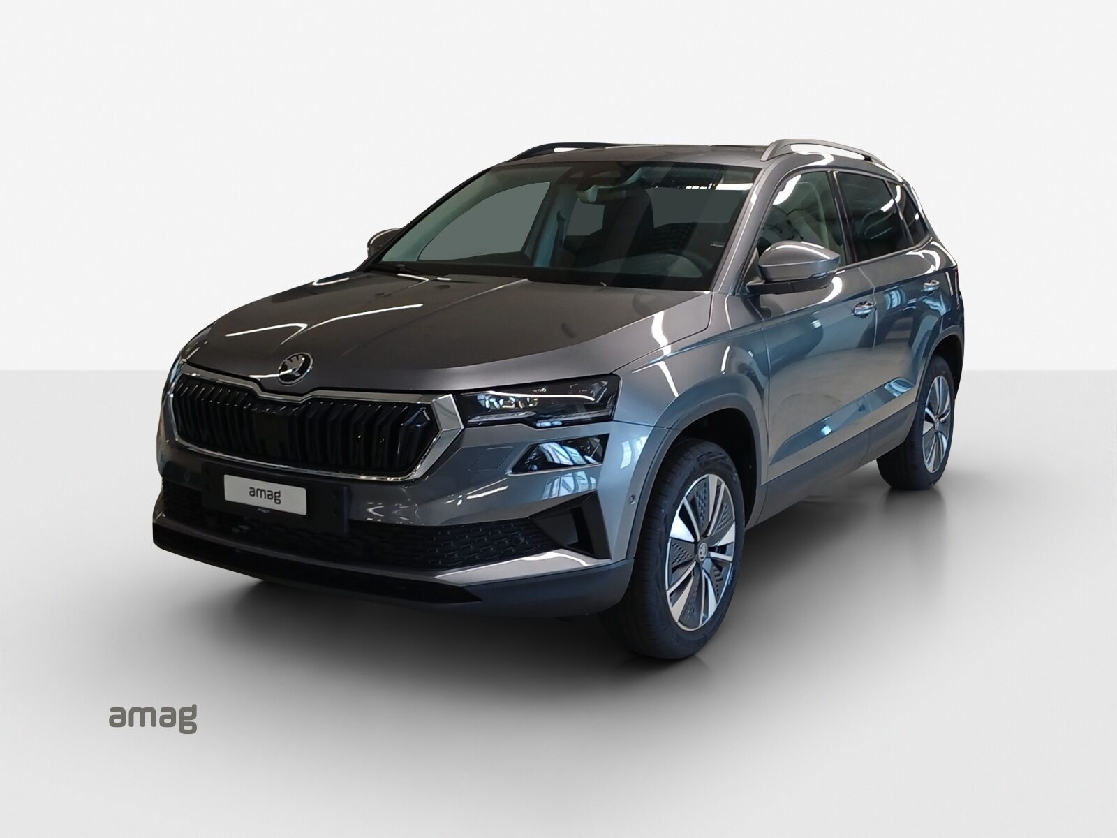SKODA Karoq Dynamic (Netto)
