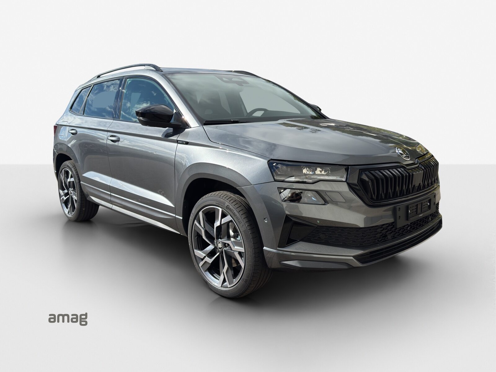 SKODA Karoq Sportline, Petrol, New car, Automatic - 6