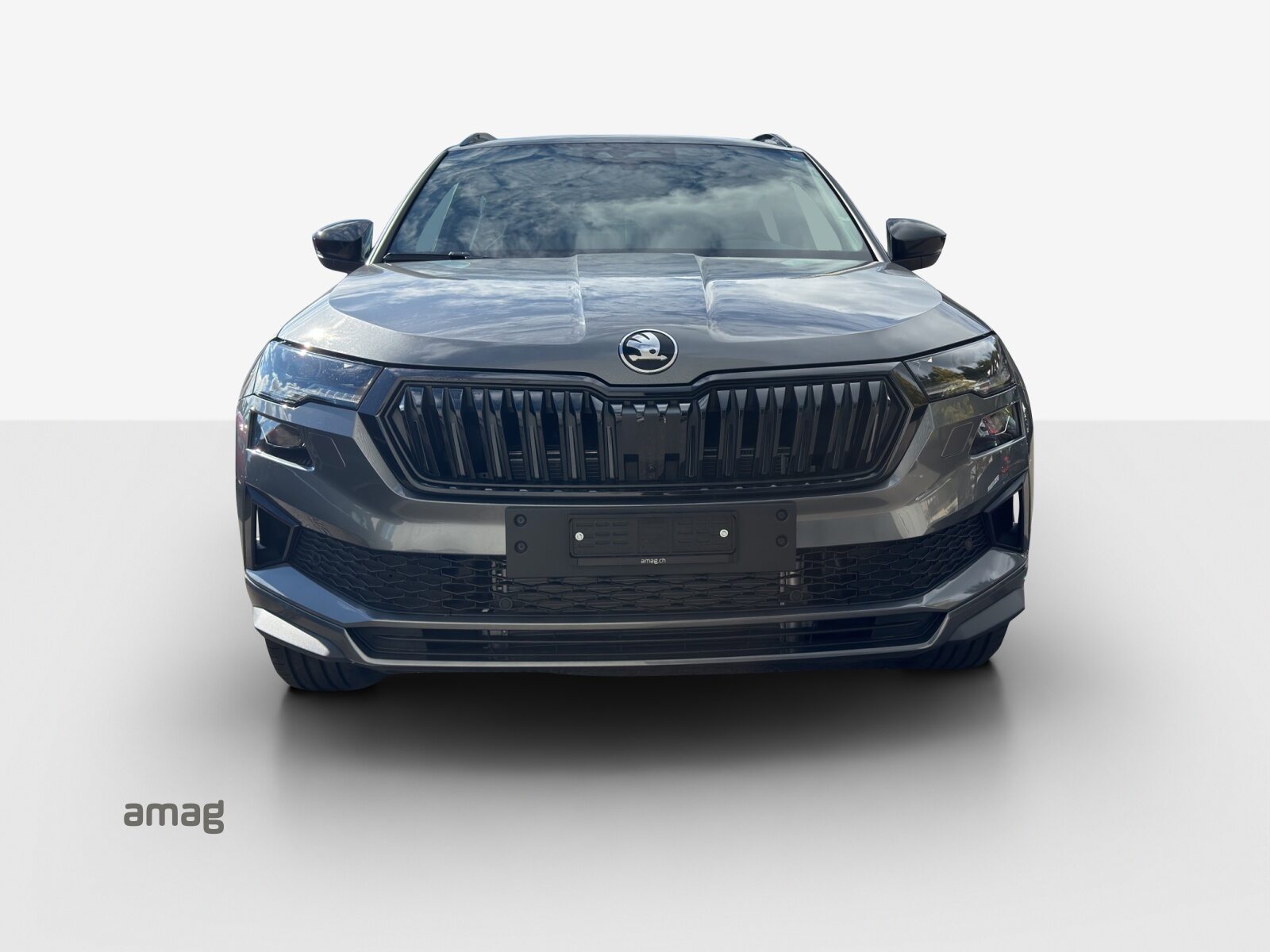 SKODA Karoq Sportline, Petrol, New car, Automatic - 7