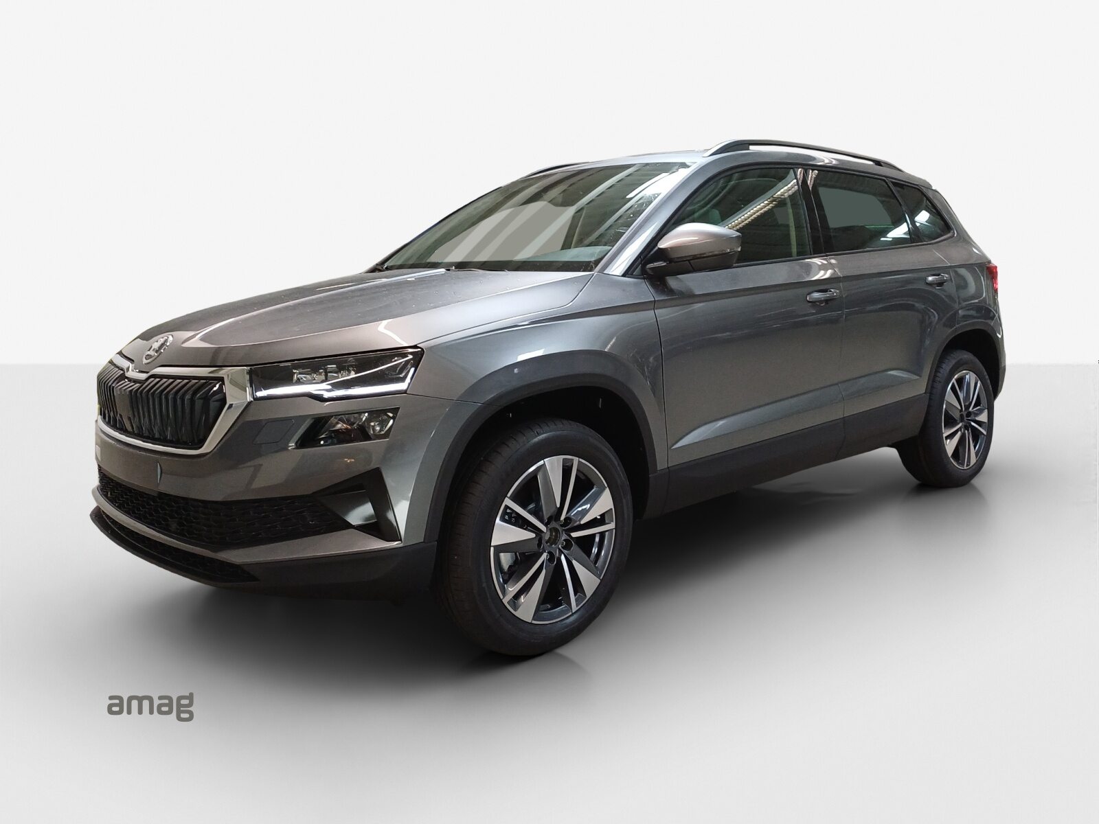 SKODA Karoq Dynamic (Netto)