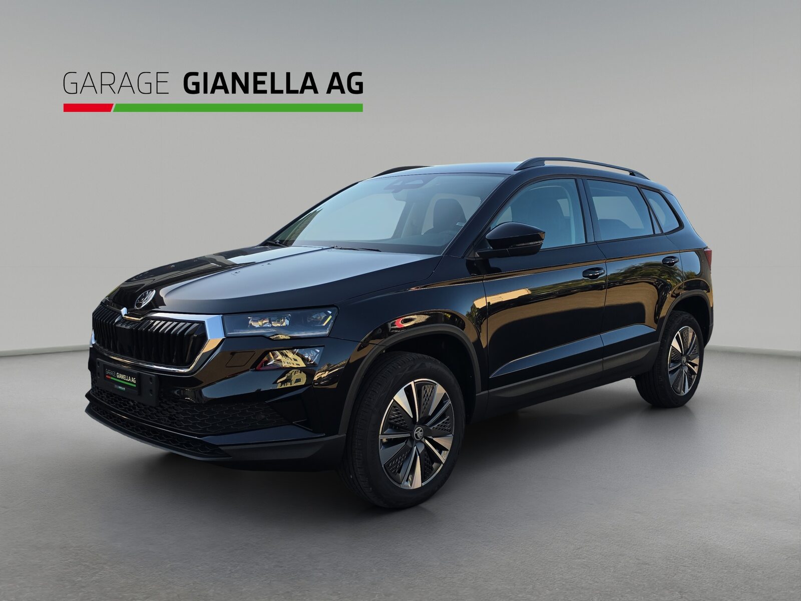 SKODA Karoq Dynamic (Netto)