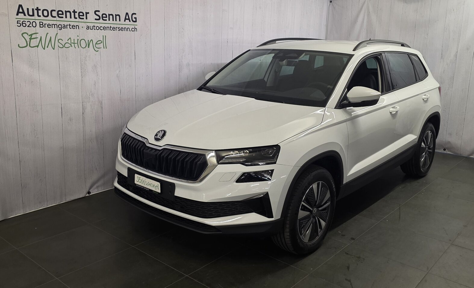 SKODA Karoq Dynamic (Netto)