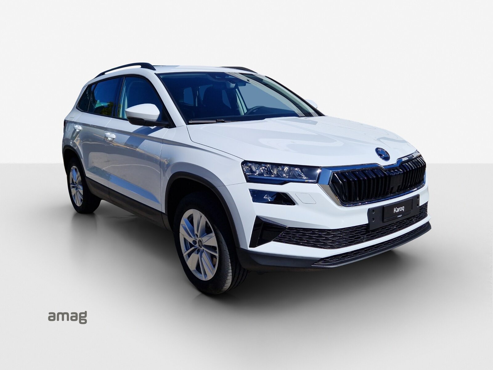 SKODA Karoq Selection, Diesel, Neuwagen, Automatik - 6