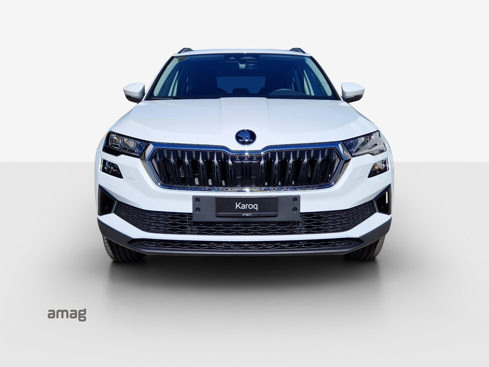 SKODA Karoq Selection, Diesel, Neuwagen, Automatik - 7