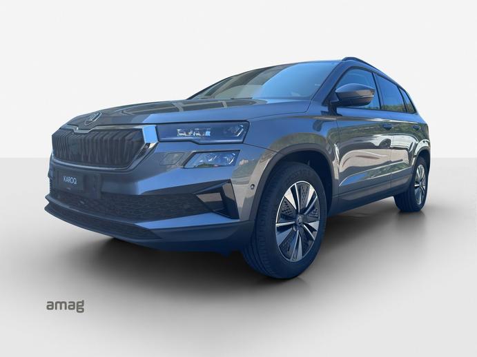 SKODA Karoq Dynamic (Netto), Diesel, New car, Automatic