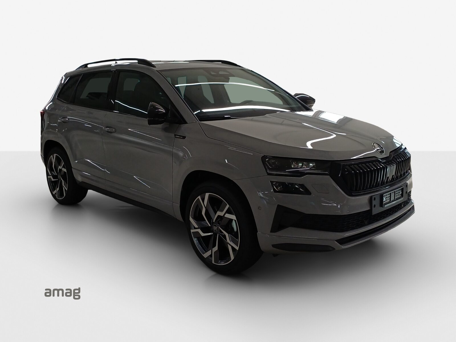 SKODA Karoq Sportline, Benzin, Neuwagen, Automatik - 6