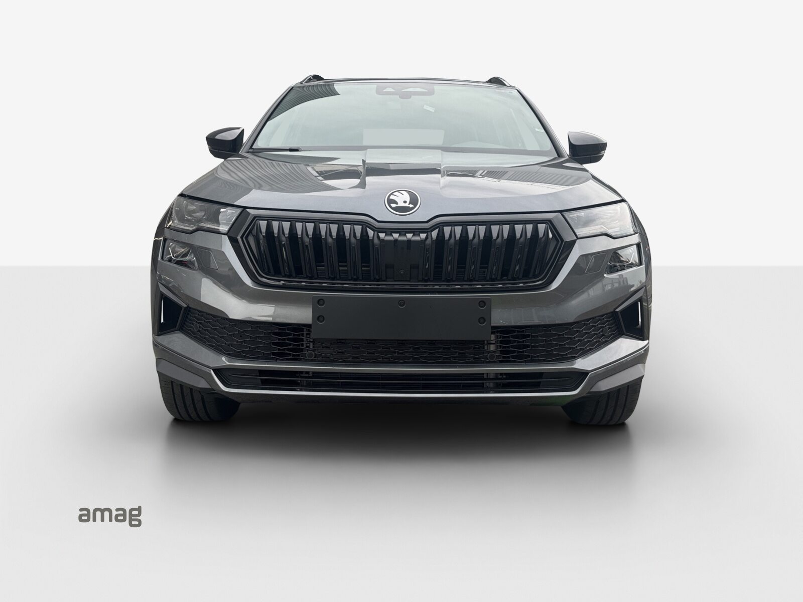 SKODA Karoq Sportline, Petrol, New car, Automatic - 7