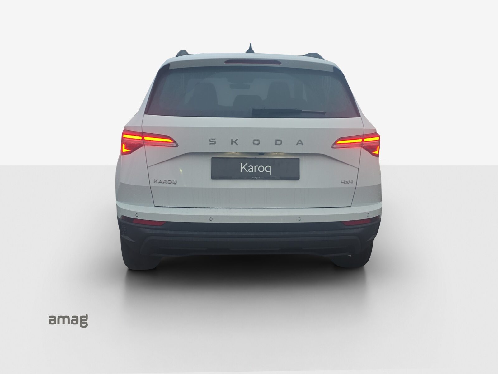 SKODA Karoq Dynamic (Netto), Diesel, Neuwagen, Automatik - 4