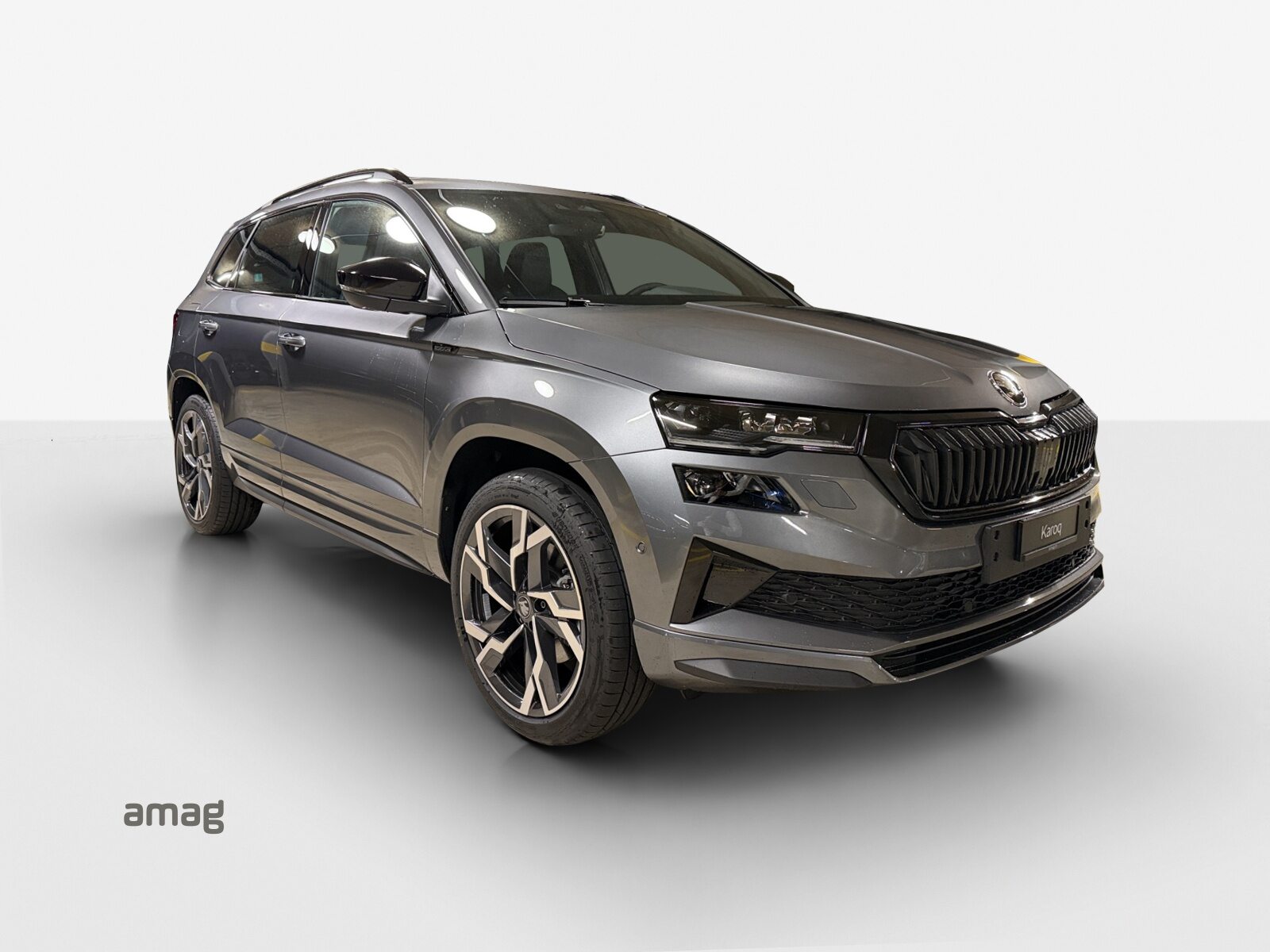 SKODA Karoq Sportline, Petrol, New car, Automatic - 6