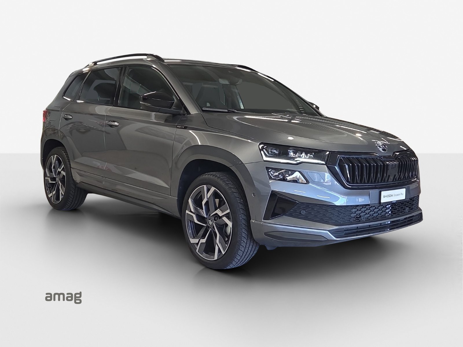SKODA Karoq Sportline, Diesel, Occasion / Utilisé, Automatique - 6