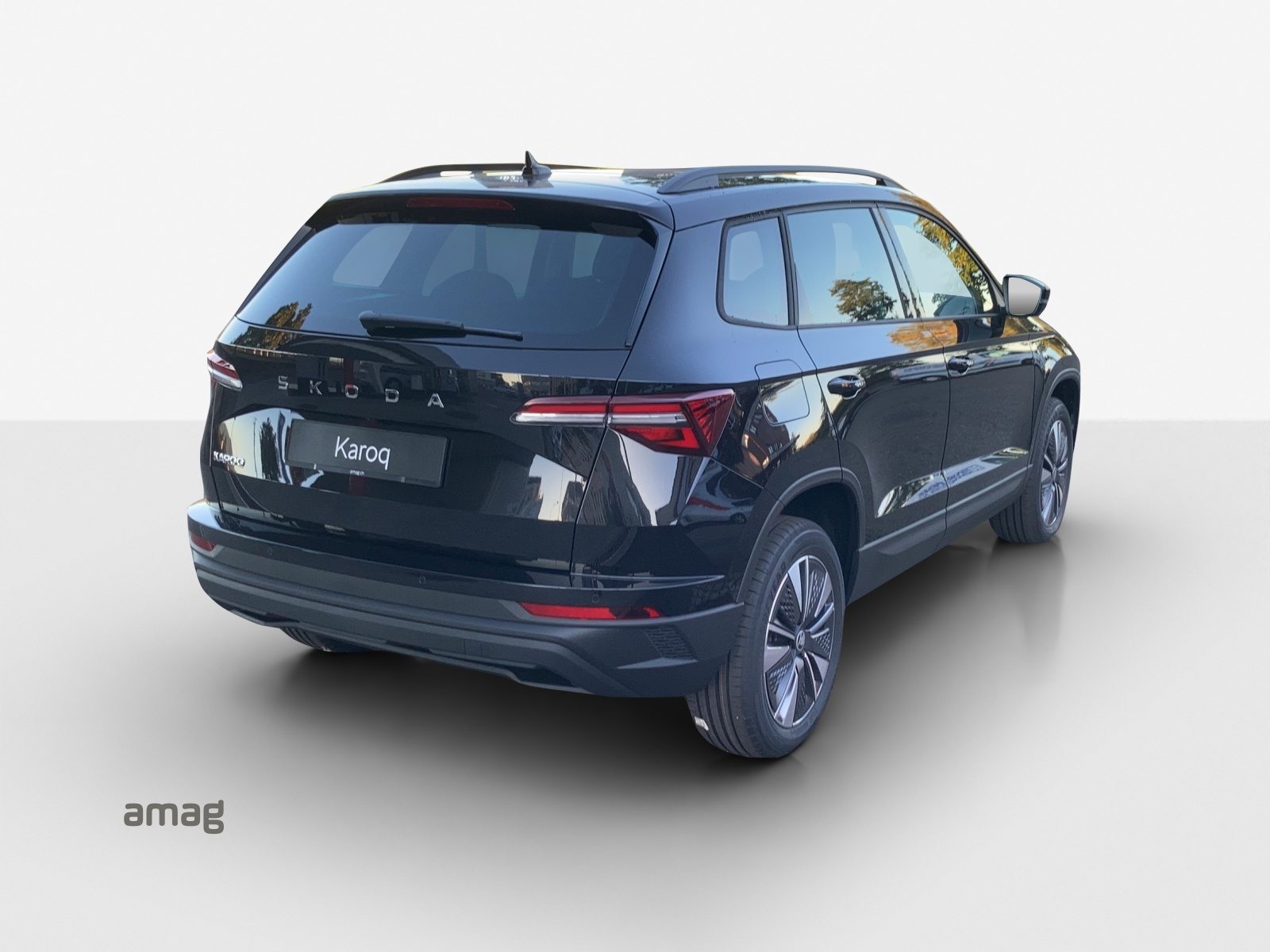 SKODA Karoq Dynamic (Netto), Benzina, Occasioni / Usate, Automatico - 5