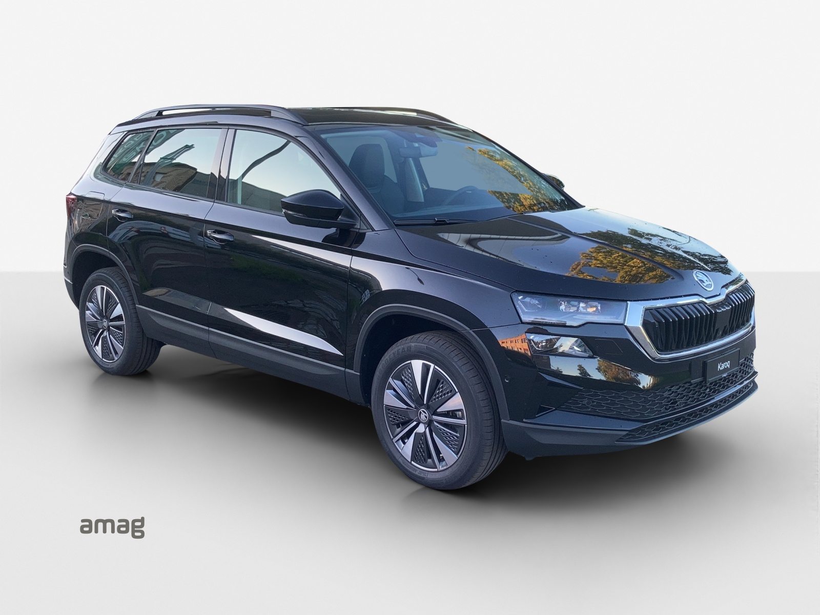 SKODA Karoq Dynamic (Netto), Benzina, Occasioni / Usate, Automatico - 6