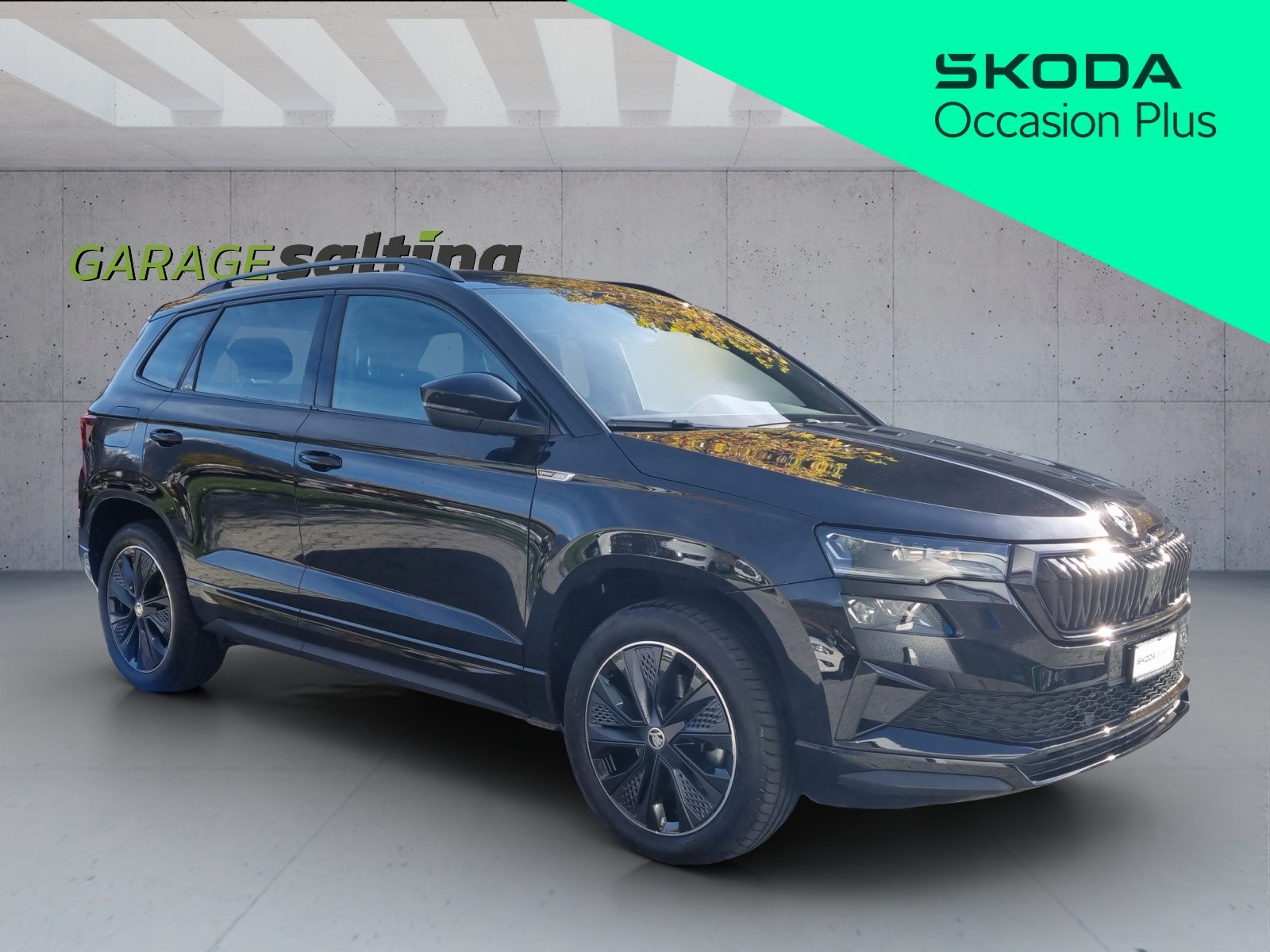 SKODA Karoq Sportline, Benzina, Occasioni / Usate, Automatico - 4