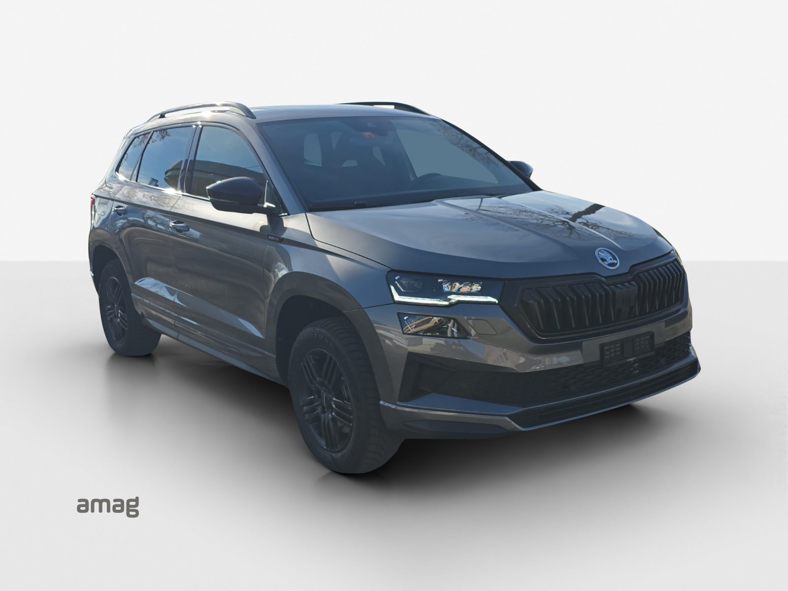 SKODA Karoq Sportline, Benzin, Occasion / Gebraucht, Automatik - 6