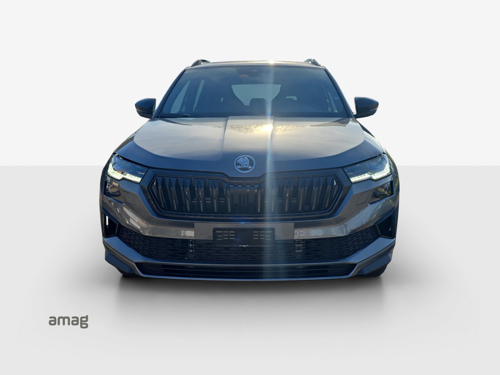 SKODA Karoq Sportline, Benzin, Occasion / Gebraucht, Automatik - 7