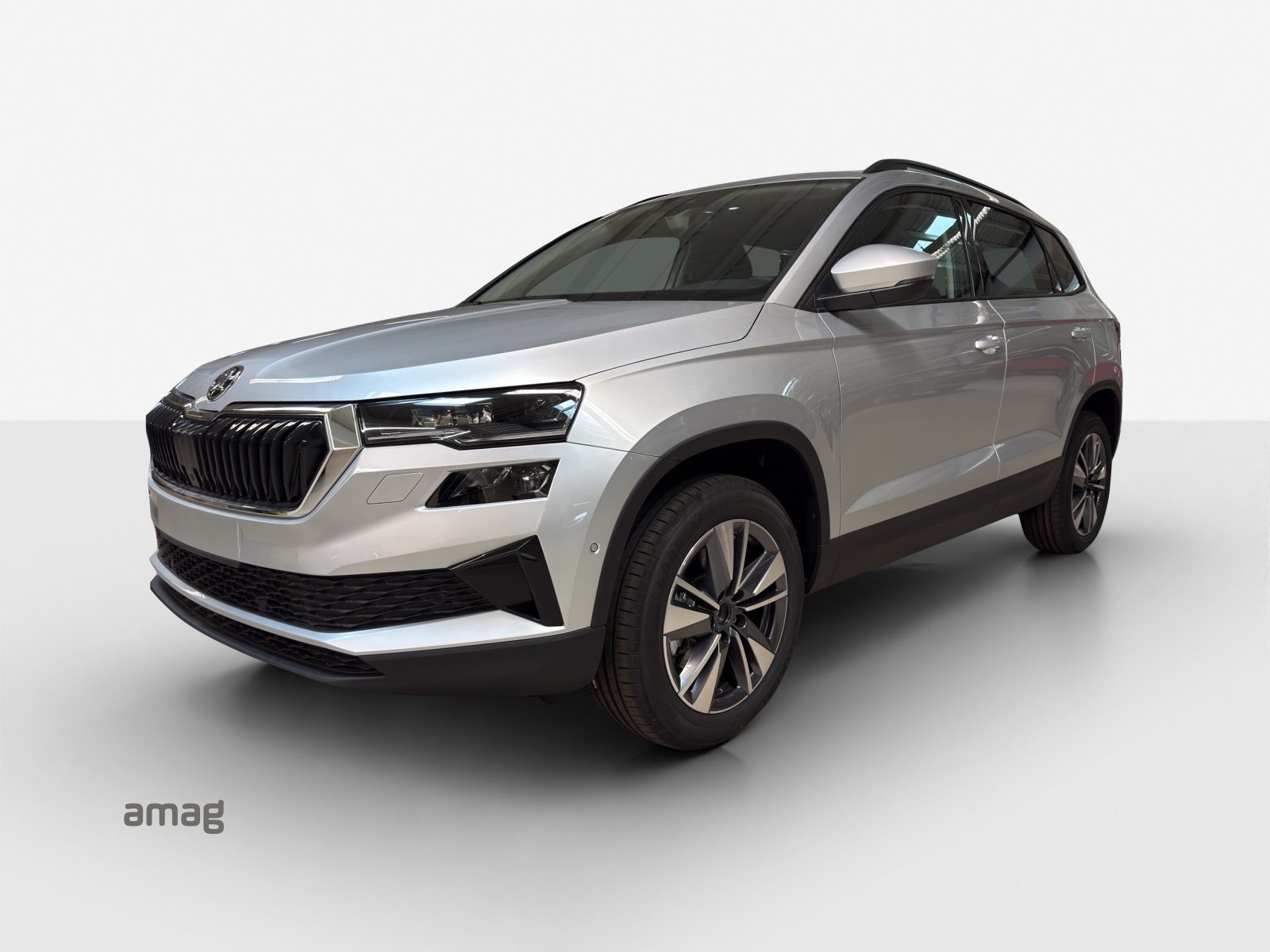 SKODA Karoq Selection, Diesel, Occasion / Gebraucht, Automatik