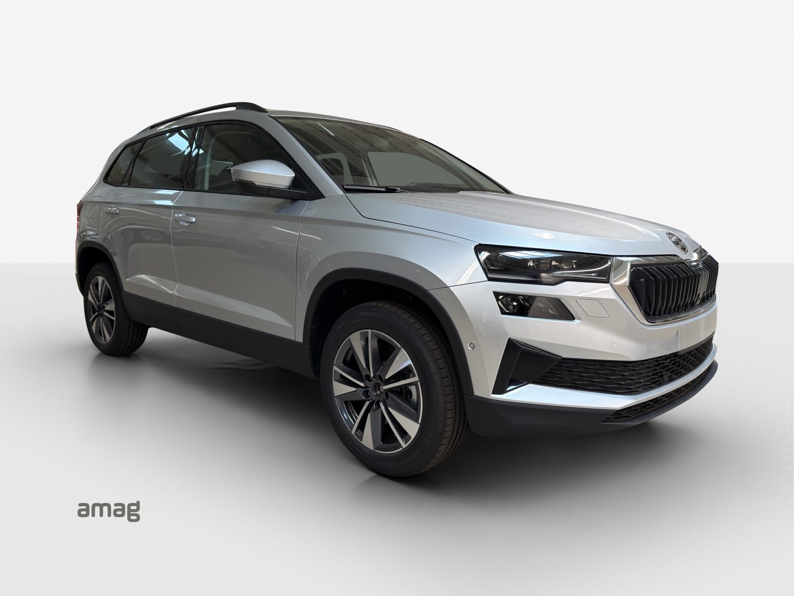 SKODA Karoq Selection, Diesel, Occasion / Gebraucht, Automatik - 6
