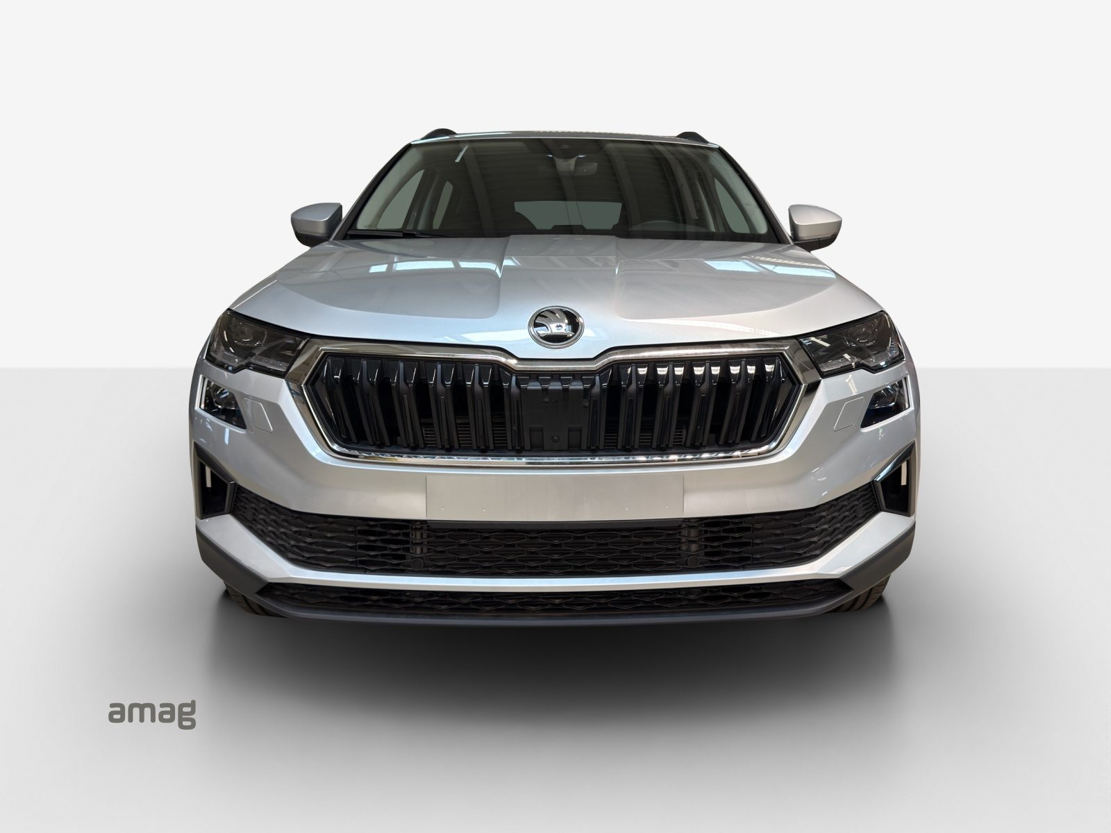 SKODA Karoq Selection, Diesel, Occasion / Gebraucht, Automatik - 7