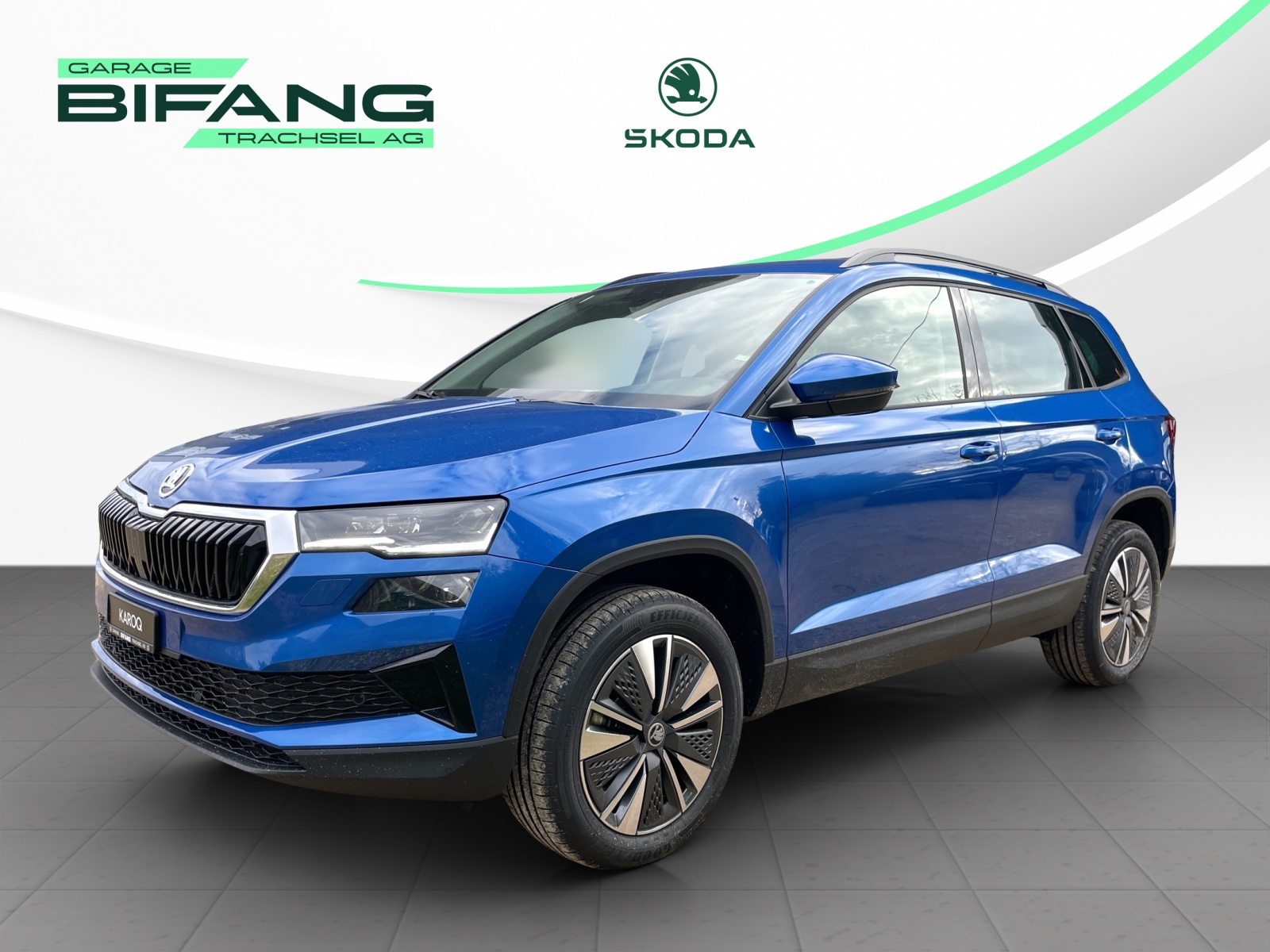 SKODA Karoq Dynamic (Netto), Benzina, Occasioni / Usate, Automatico