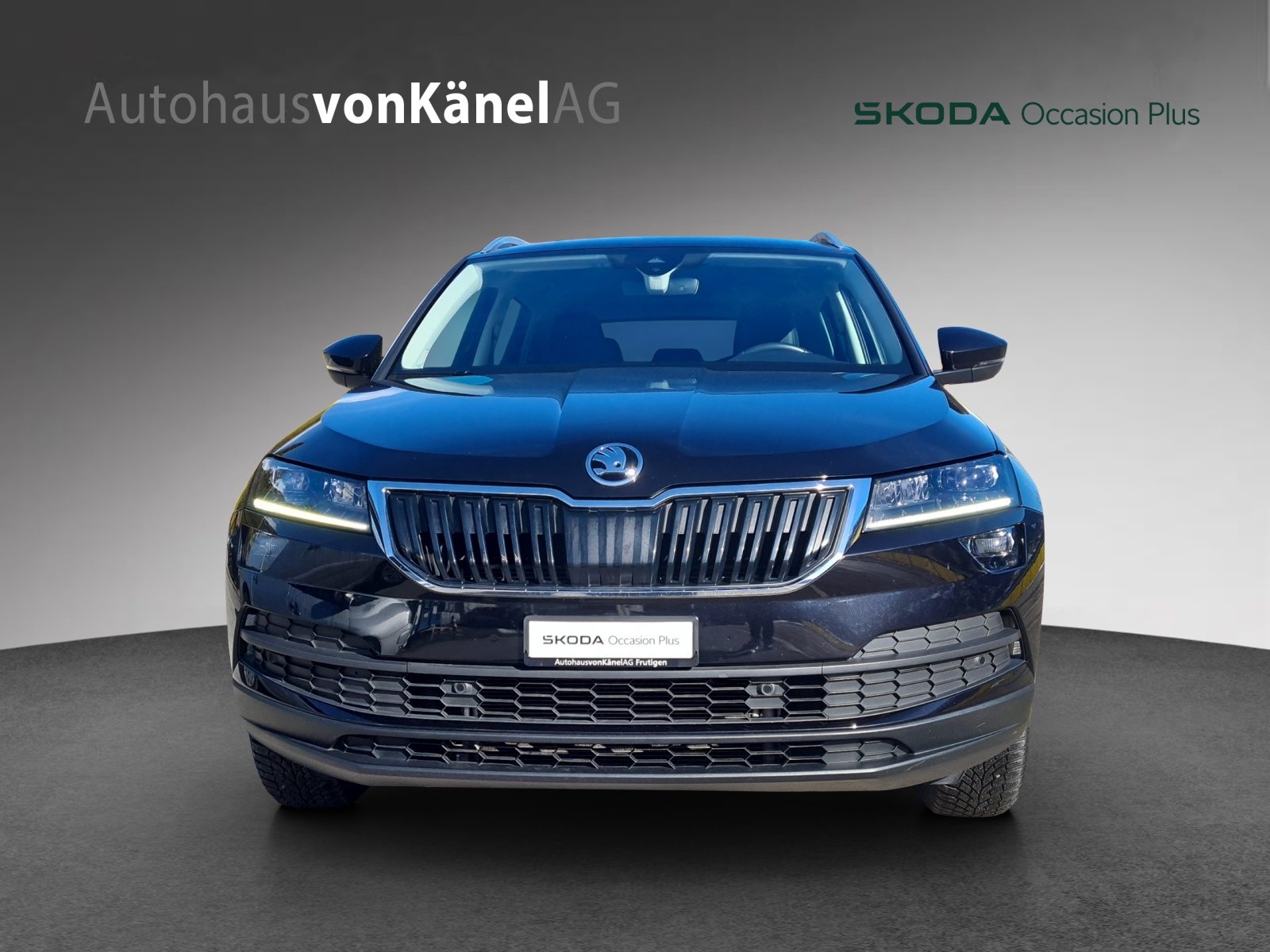 SKODA KAROQ Smile 4x4 (Netto), Diesel, Occasion / Gebraucht, Automatik - 4