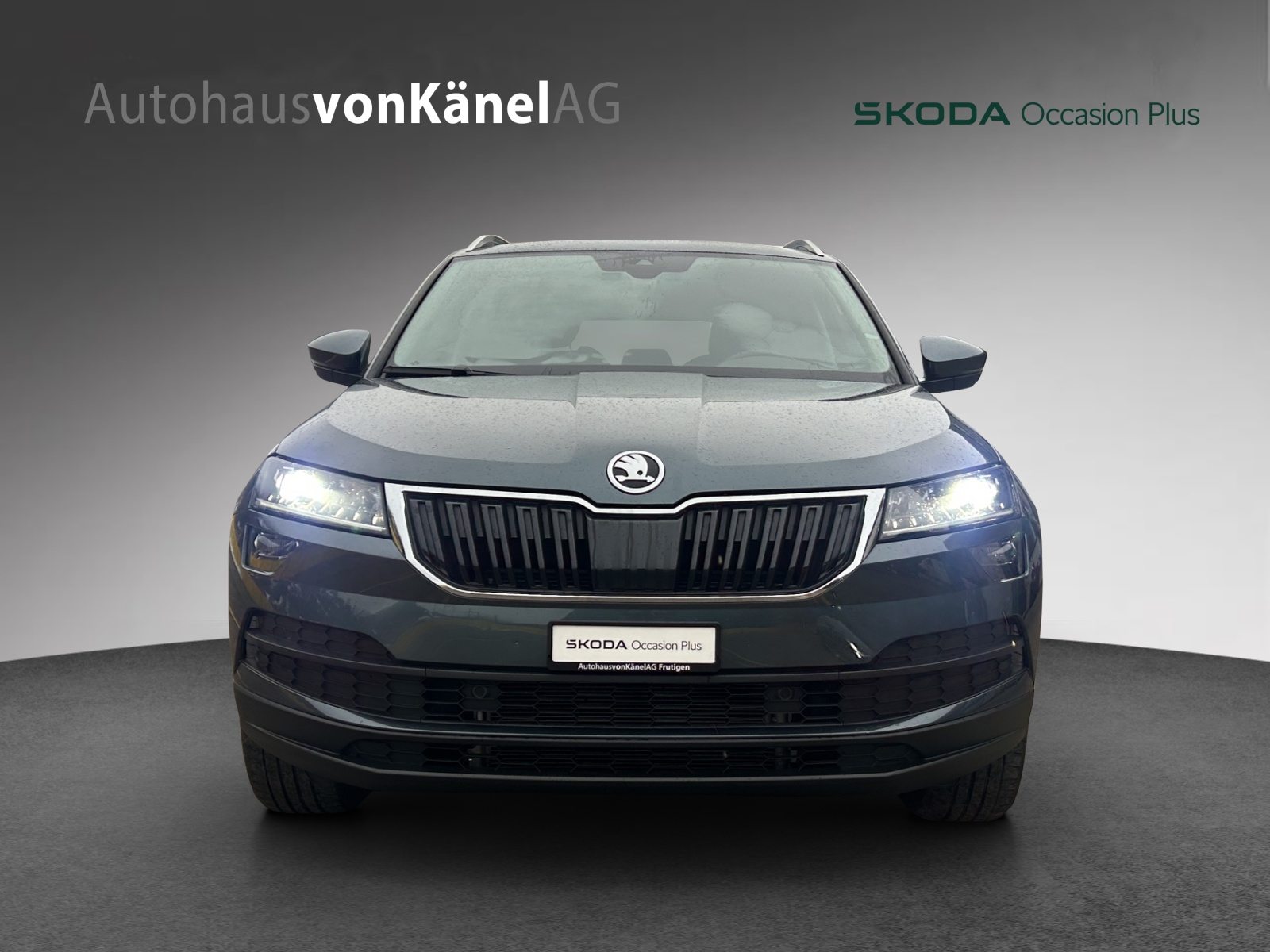 SKODA KAROQ «Clever» (Netto), Diesel, Second hand / Used, Automatic - 4
