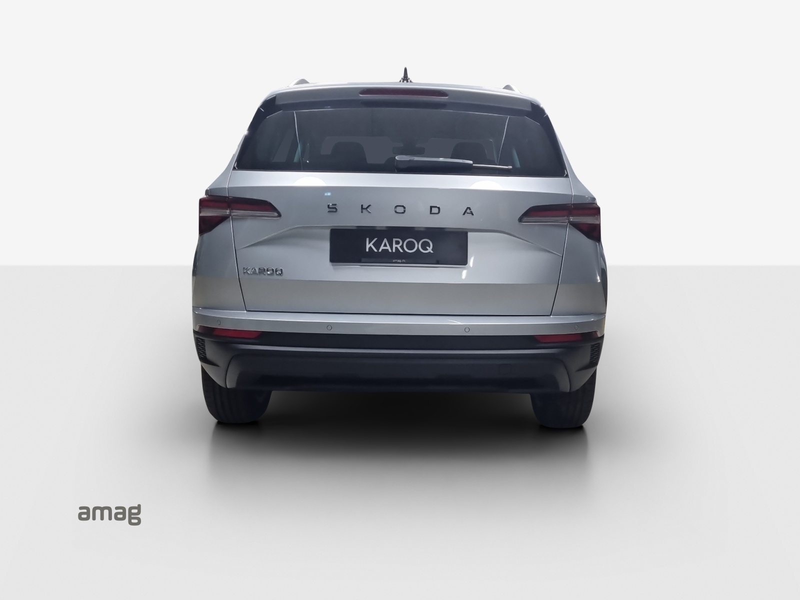 SKODA Karoq Selection, Benzina, Occasioni / Usate, Automatico - 4