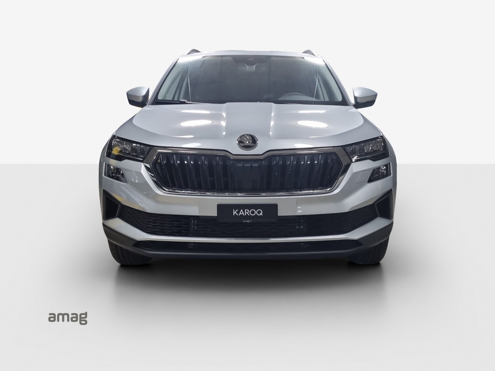 SKODA Karoq Selection, Benzina, Occasioni / Usate, Automatico - 6