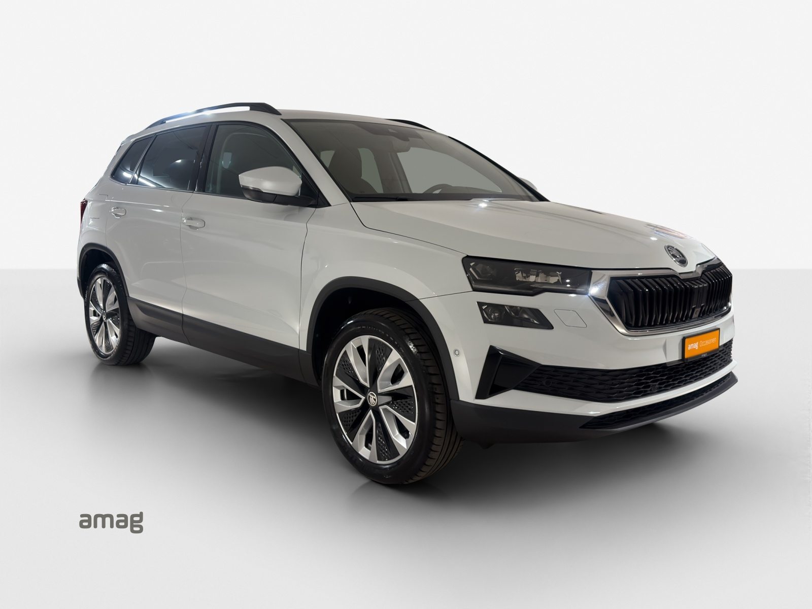 SKODA Karoq Style, Diesel, Second hand / Used, Automatic - 6