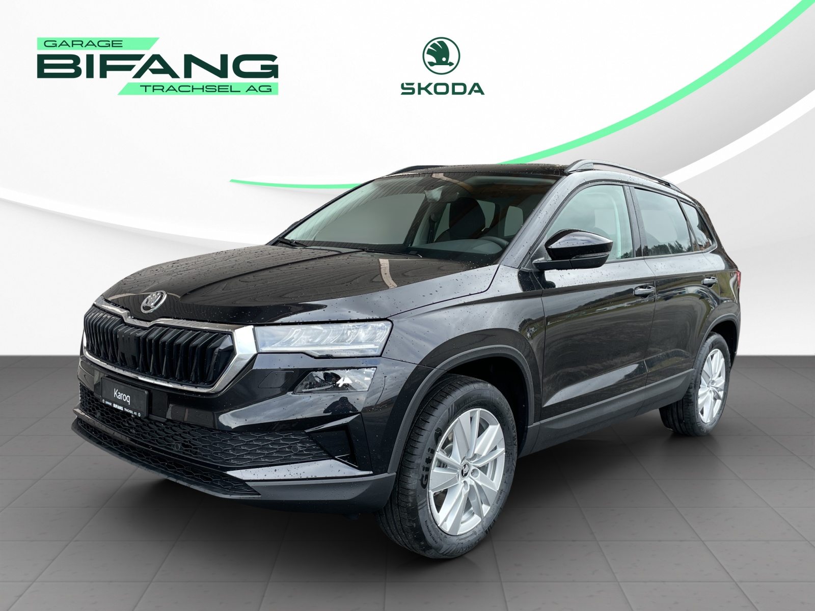 SKODA Karoq Selection