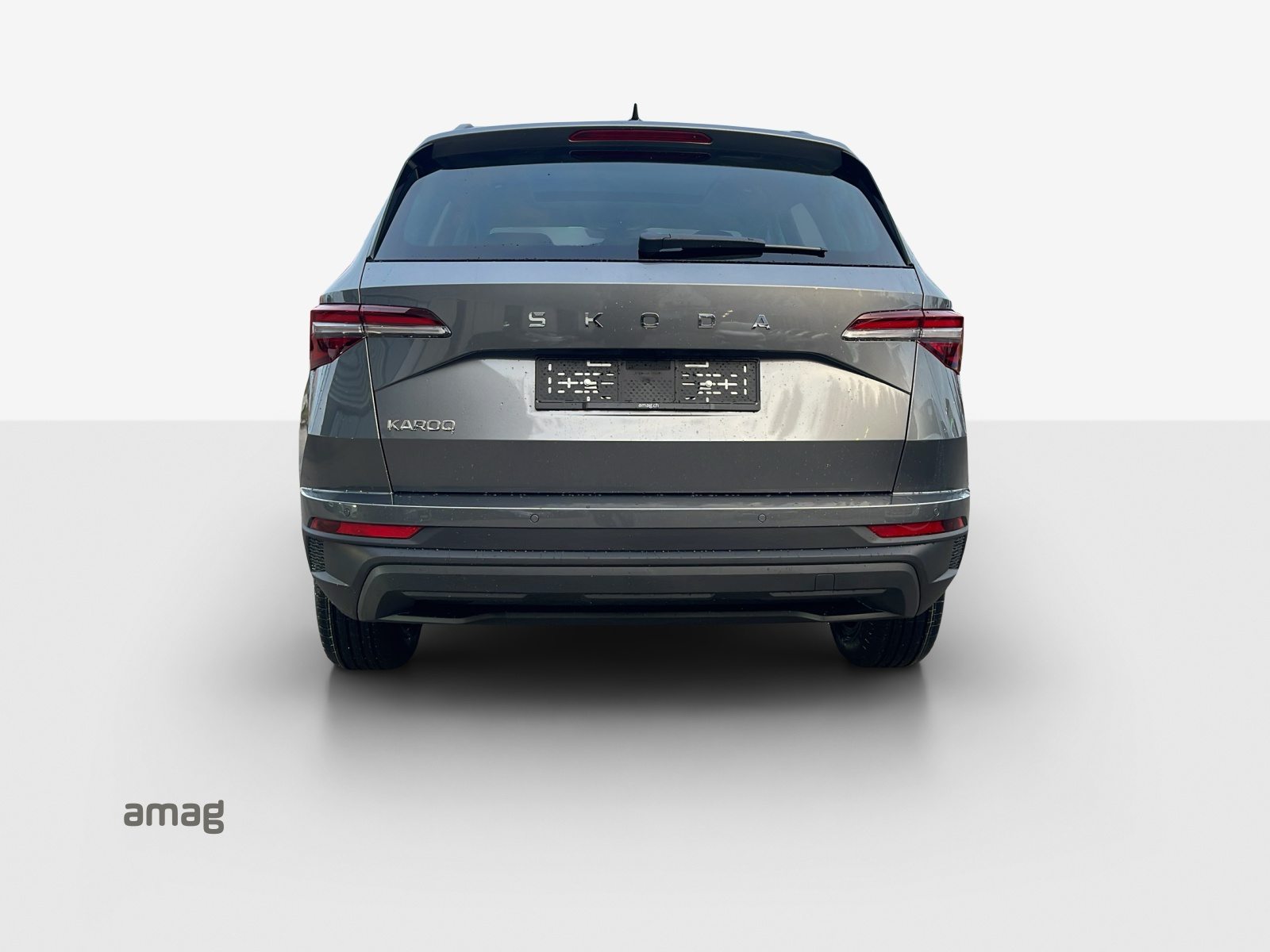 SKODA Karoq Dynamic (Netto), Benzin, Occasion / Gebraucht, Automatik - 4