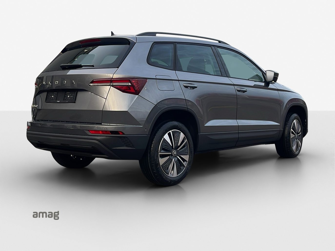 SKODA Karoq Dynamic (Netto), Benzin, Occasion / Gebraucht, Automatik - 5