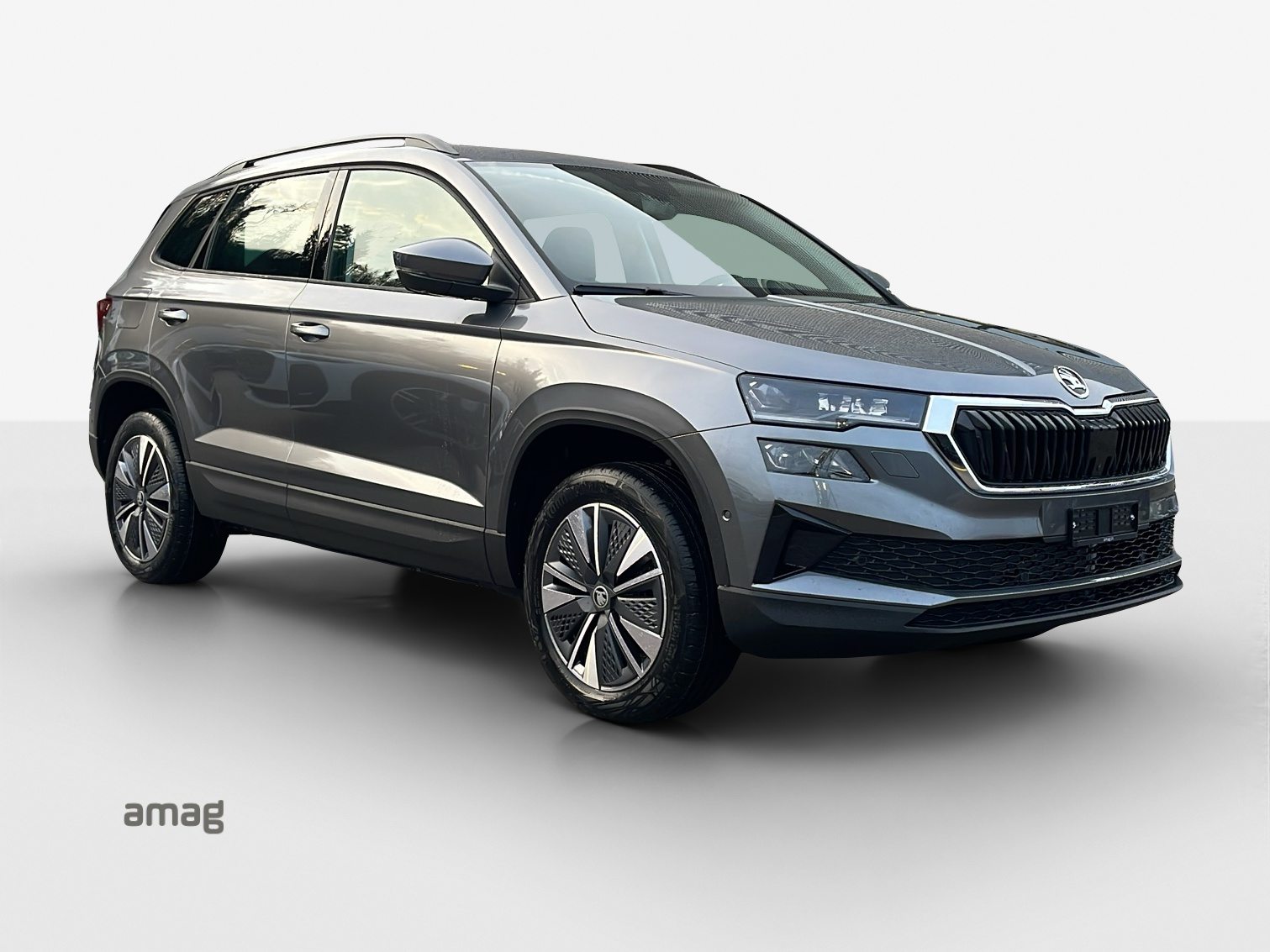 SKODA Karoq Dynamic (Netto), Benzin, Occasion / Gebraucht, Automatik - 6