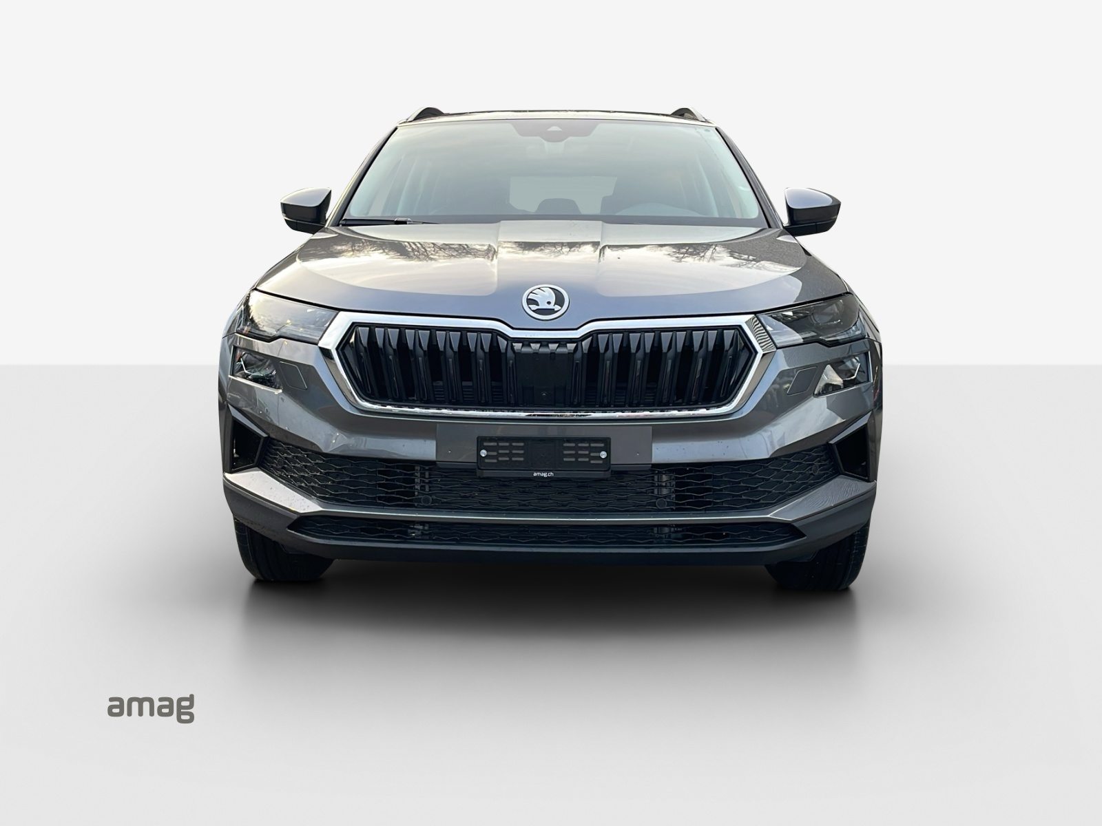 SKODA Karoq Dynamic (Netto), Benzin, Occasion / Gebraucht, Automatik - 7