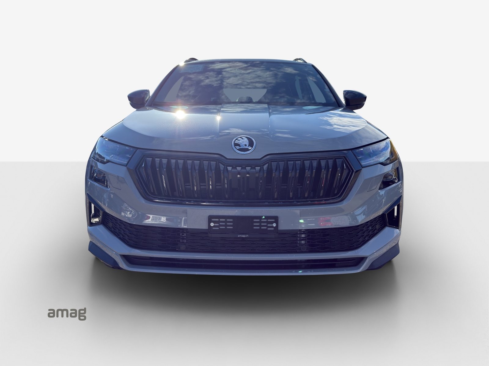 SKODA Karoq Sportline, Benzina, Occasioni / Usate, Automatico - 7