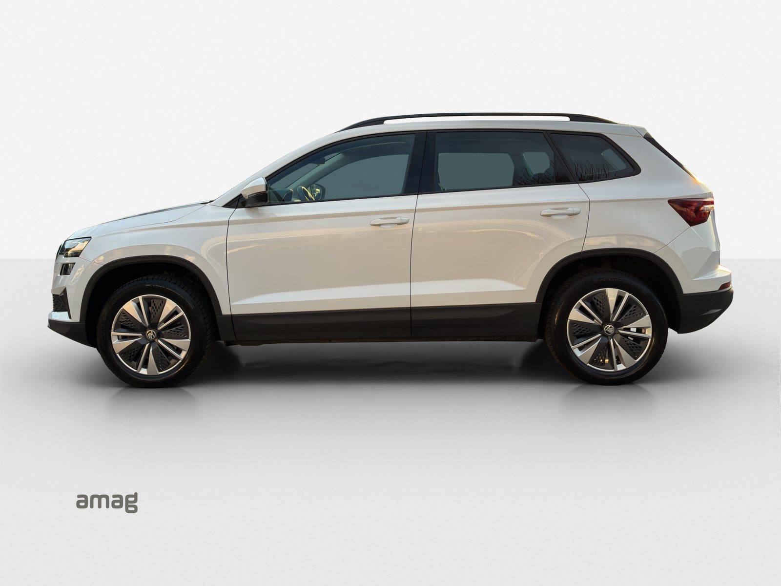 SKODA Karoq Ambition, Diesel, Occasioni / Usate, Automatico - 2