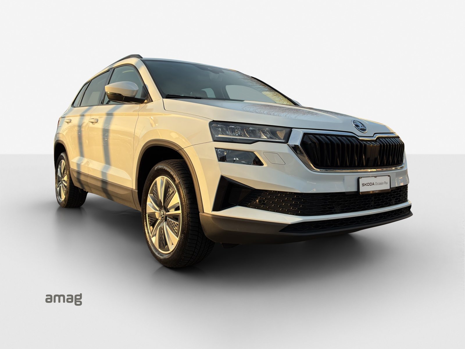 SKODA Karoq Ambition, Diesel, Occasioni / Usate, Automatico - 6