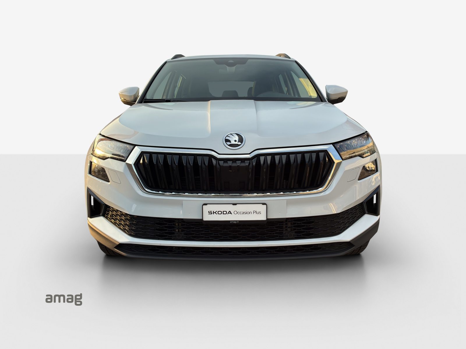 SKODA Karoq Ambition, Diesel, Occasioni / Usate, Automatico - 7