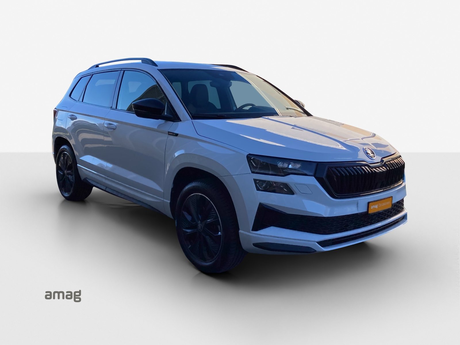 SKODA Karoq Sportline, Benzin, Occasion / Gebraucht, Automatik - 6