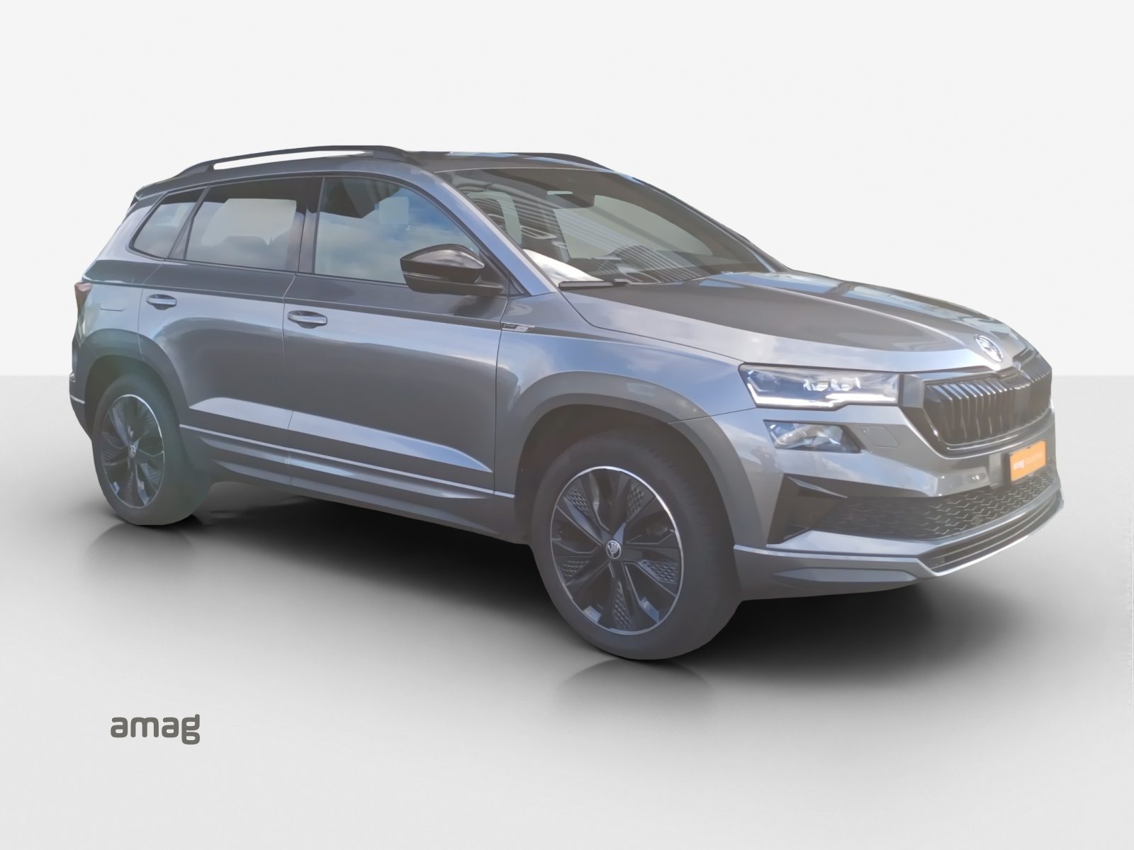 SKODA Karoq SportLine, Essence, Occasion / Utilisé, Automatique - 6