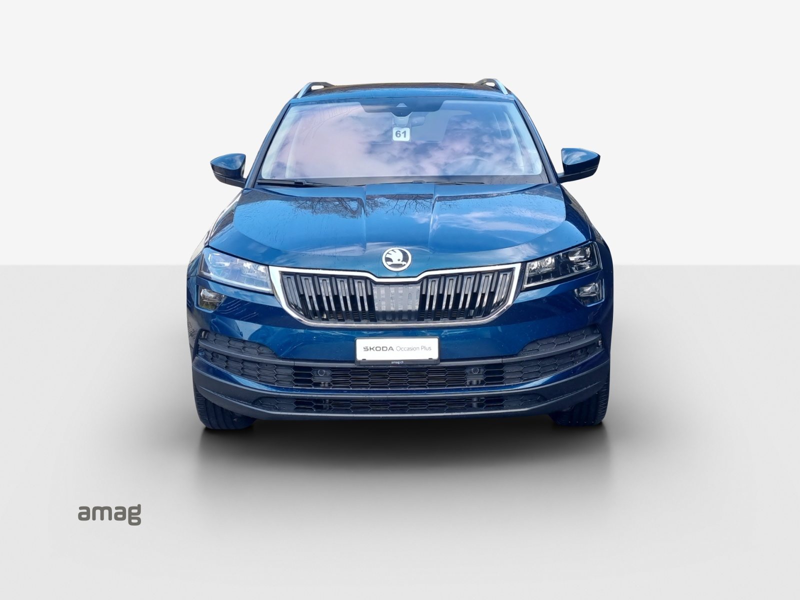 SKODA KAROQ «Clever» (Netto), Benzina, Occasioni / Usate, Automatico - 7
