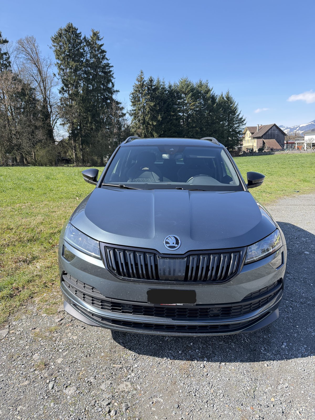 SKODA Karoq 2.0 TSI SportLine 4x4 DSG, Benzin, Occasion / Gebraucht, Automatik - 2