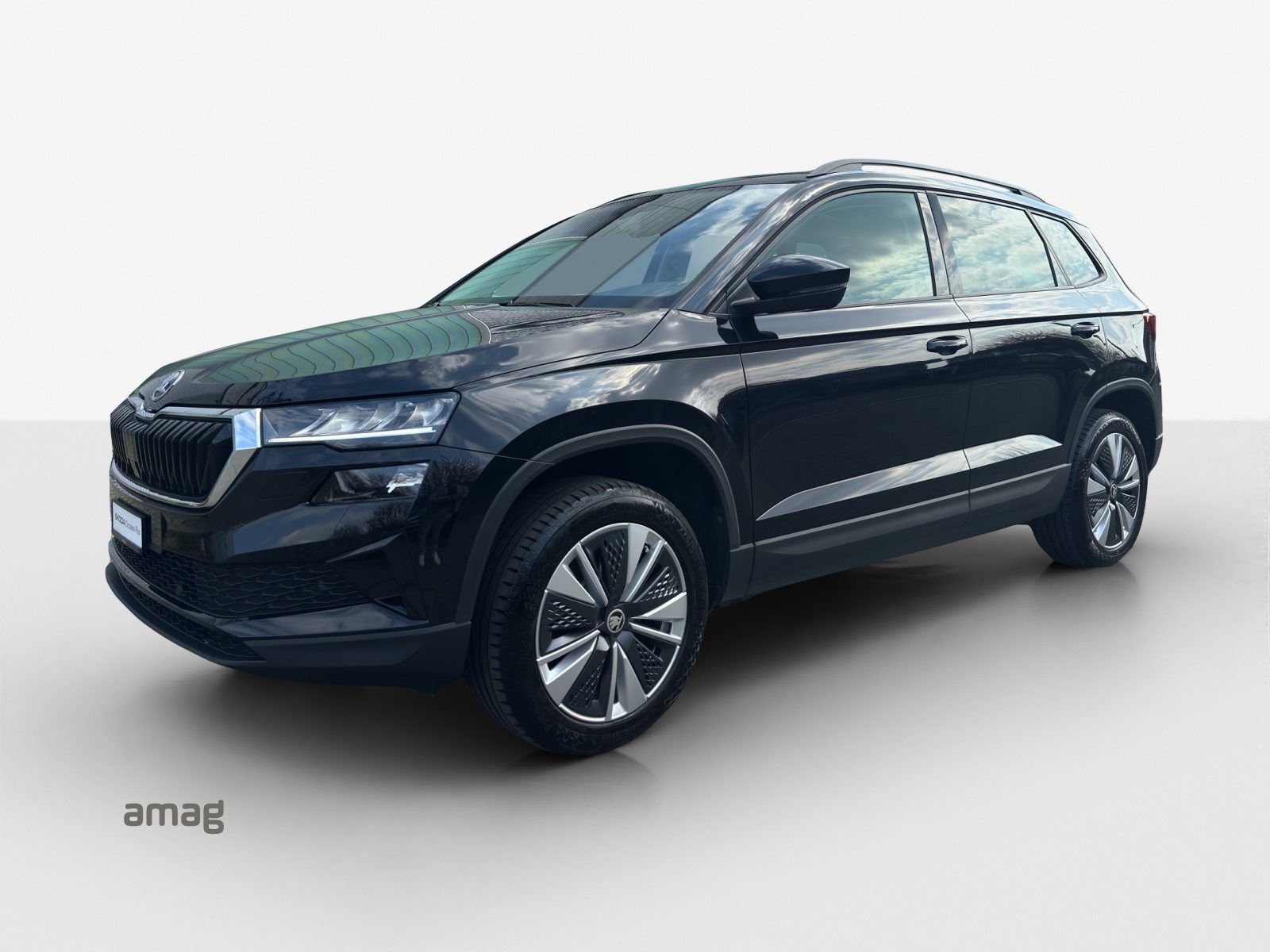 SKODA Karoq Ambition, Diesel, Occasion / Utilisé, Automatique - 2