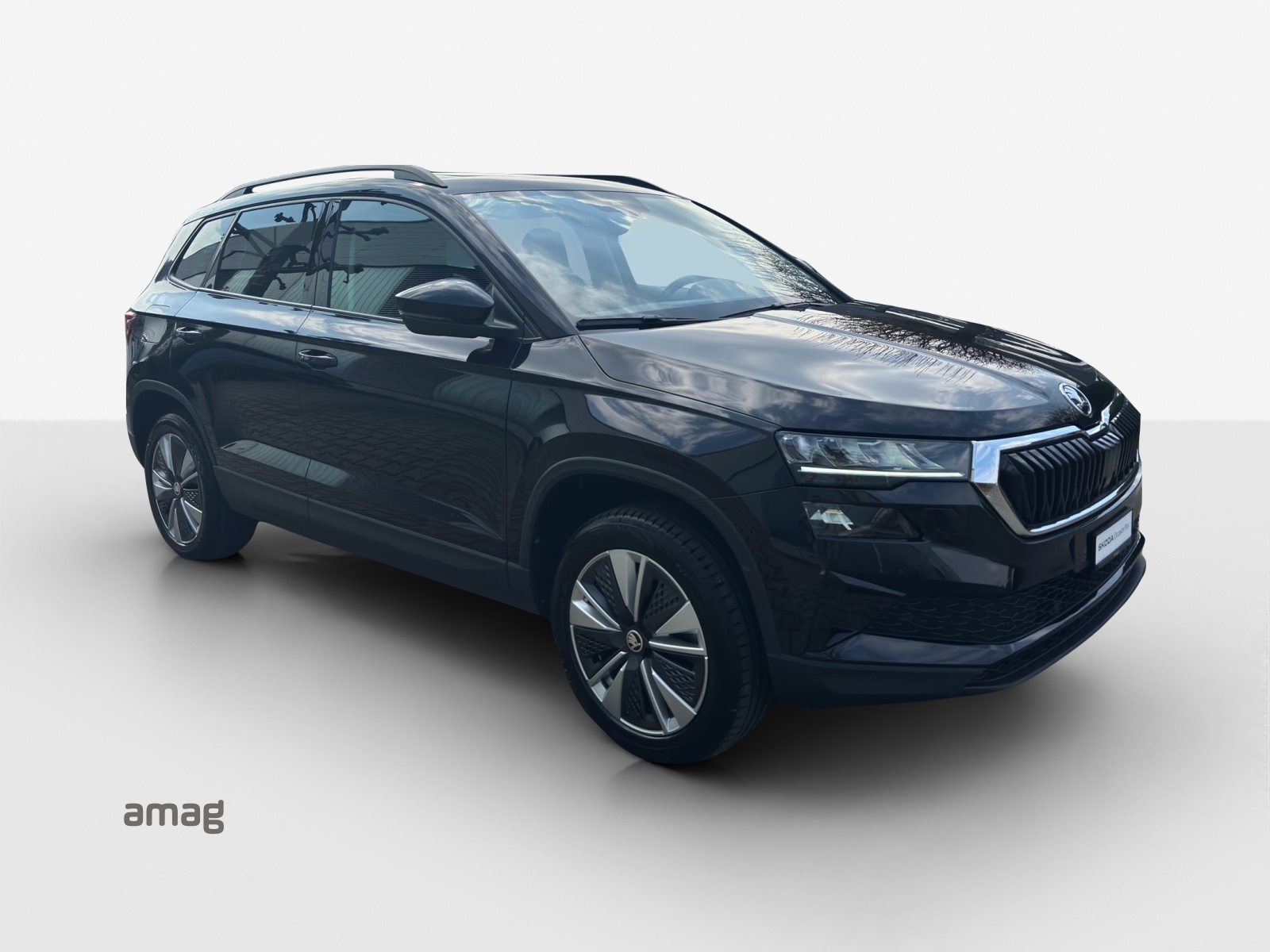 SKODA Karoq Ambition, Diesel, Occasion / Utilisé, Automatique - 7