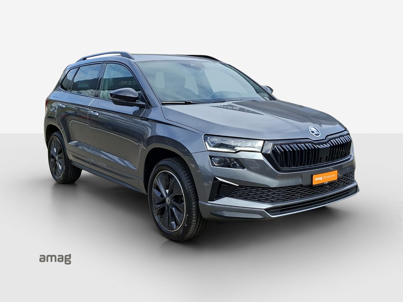 SKODA Karoq Sportline, Benzina, Occasioni / Usate, Automatico - 6