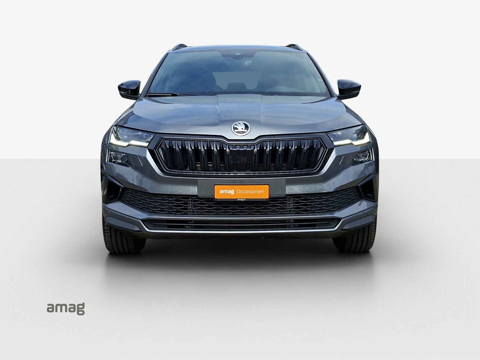 SKODA Karoq Sportline, Benzina, Occasioni / Usate, Automatico - 7