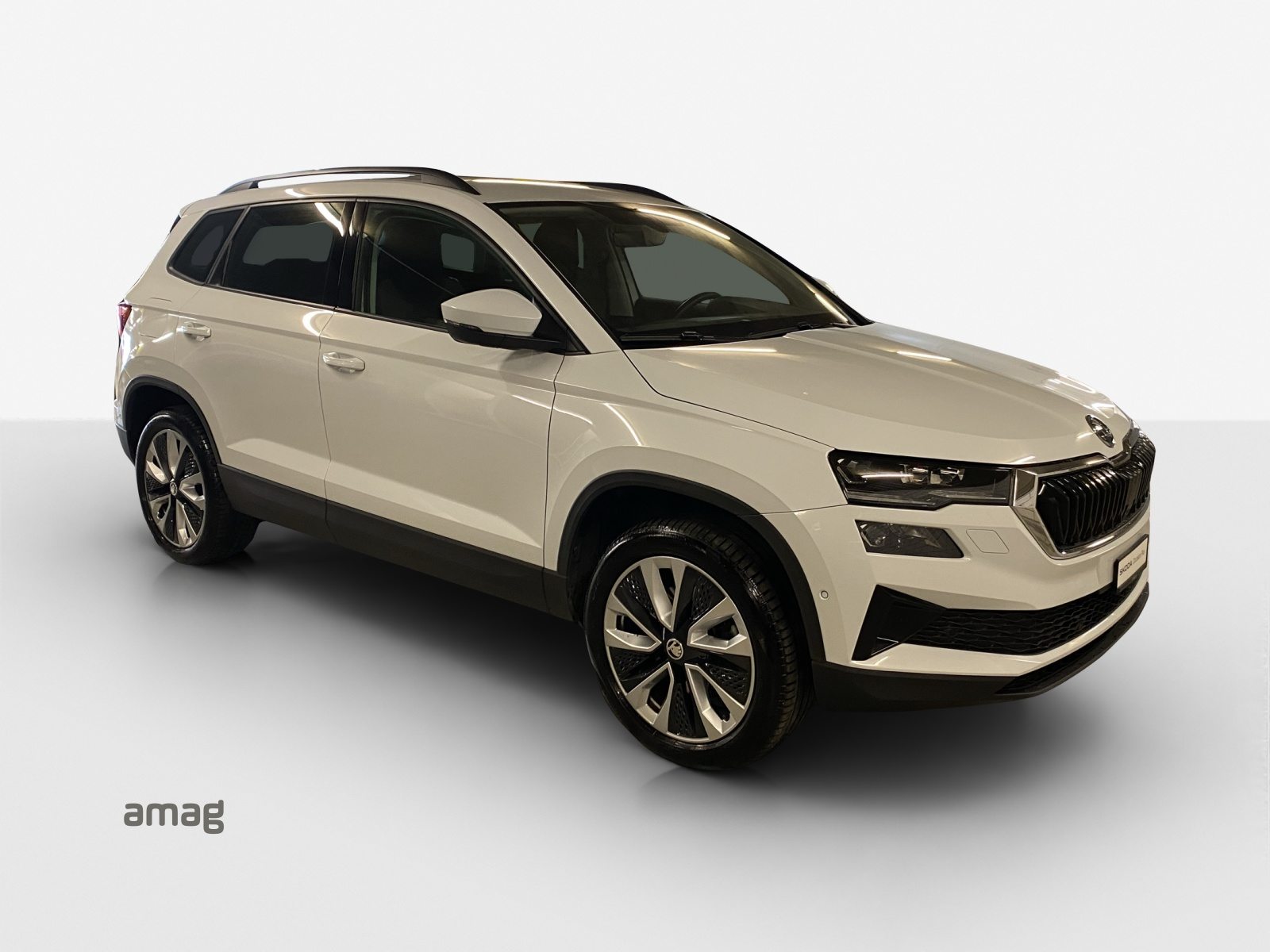 SKODA Karoq Style, Diesel, Second hand / Used, Automatic - 6