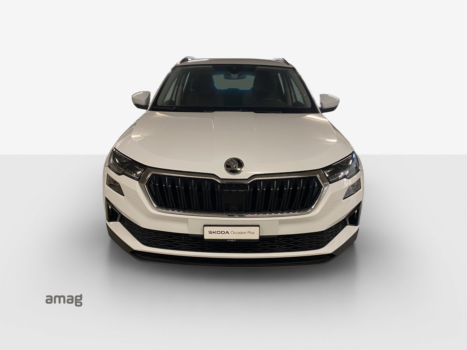 SKODA Karoq Style, Diesel, Second hand / Used, Automatic - 7